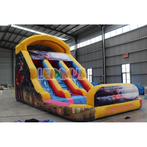 Toboggan aquatique Offre Spéciale commercial gonflable Tale of <span class=keywords><strong>Ladybug</strong></span> Cat <span class=keywords><strong>Noir</strong></span> maison de rebond piscine videur gonflable Double toboggan à louer - Product Image 1