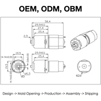 Moteur à engrenages planétaires OEM personnalisable 3,7 V 24 mm 320:1 42 kgf.cm 46 tr/min pour moulin à café et appareil de beauté