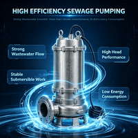 Pompe submersible à haute pression 11 kW 15 CV en acier inoxydable 460 V pour l'égouttage des mines, la pompage de boues et de sels pour usage industriel