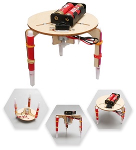 Kit de Experimentos Científicos de Madera para Niños de Primaria, Modelo Educativo STEAM T-M203, Robot de Graffiti DIY OEM - Product Image 4