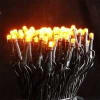 10m 100 LED 110V Stecker-Lichterkette für Innen und Außen, Plastik-Weihnachtsbaumbeleuchtung, Dekorative Ornament-Lichterkette, Feenlichterkette