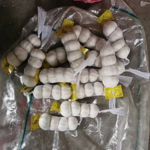 Ajo Fresco para África, Ail Frais Pour L'Afrique Australe, Tarifas Competitivas y Envío Rápido - Product Image 1