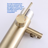 Colonne de douche extérieure en acier inoxydable doré brossé avec pommeau de douche pluie, barre coulissante et mitigeur chaud/froid à poignée unique pour jardin et piscine