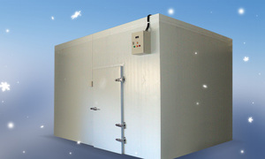 20ft 40ft năng lượng mặt trời container lạnh lưu trữ hệ thống tủ đông giá cả cạnh tranh động cơ và động cơ thành phần cốt lõi giá cả cạnh tranh - Product Image 5