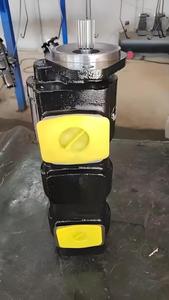 Hansen JCB ปั๊มเกียร์ไฮดรอลิกหลักของ4CX 3CX JCB208/JCB209/JCB210 20/903300 Shandong รับประกัน1ปี - Product Image 6