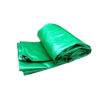 Bâche en PE ultra-résistante aux UV 4x5m, imperméable, pour l'agriculture, revêtement de bassin, couverture de camion, Éthiopie