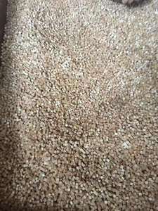 Granuli di Guscio di Noce per Sabbiatura, Abrasivi Grossi/Fini per Sbavatura/Lucidatura a Specchio, 3-60 Grane, 42-53HRC - Product Image 6