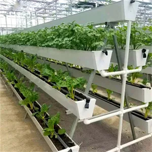 Système hydroponique agricole Bac de plantation trapézoïdal Serre Bac de plantation en forme de T Bac à fraises en plastique <span class=keywords><strong>PVC</strong></span> blanc - Product Image 1