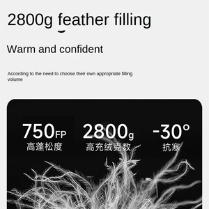 Tùy Chỉnh Bắc Cực Sói YF-018 Túi Ngủ Ngoài Trời Xác Ướp Phong Cách Ngỗng Đầy Thoáng Khí Dành Cho Người Lớn Mùa Đông Sử Dụng-30 Trọng Lượng Nhẹ Cắm Trại - Product Image 3