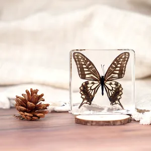 Düşük MOQ cilalı reçine kristal el sanatları gerçek güzel kelebek ofis dekorasyon hızlı teslimat 75*75*20mm yüksek şeffaflık