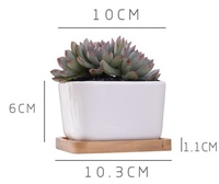 Vente en gros de pots à fleurs en bambou écologiques modernes personnalisés avec logo personnalisé et finition vernie pour la décoration de la maison, du bureau et du jardin