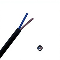 Câble d'alimentation souple RVV 2 conducteurs 1,0 mm² en PVC cuivre pour la connexion d'équipements électriques, le câblage de machines et l'alimentation électrique