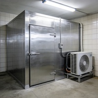 Conteneur de stockage frigorifique commercial 2025 à prix d'usine, congélateur rapide 20 pieds/40 pieds, unité de réfrigération