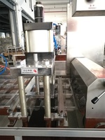 Mini conteneur jetable en plastique de boîte de fruits de fraise faisant la machine boîte à clapet faisant la machine pour des légumes et des fruits