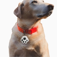 Traceur GPS portable sans fil pour animaux de compagnie avec localisation en réseau anti-perte, traceur pour petits animaux