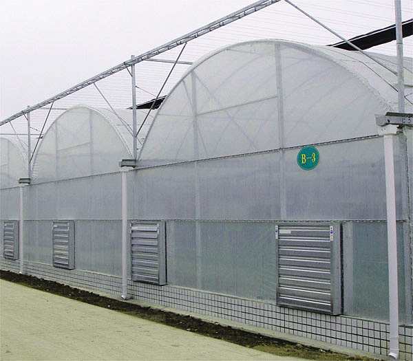 Sainpoly Cheap Intelligent Agriculture Multi span