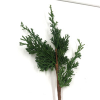 Feuilles d'evergreen, fausse plante, arbre de pin, tige de plante de genièvre
