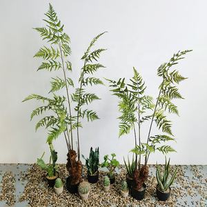 Plante artificielle en forme de fougère, simulation de bonsaï, décoration de pièce, arbustes, fougère en plastique à tête de singe dorée - Product Image 2