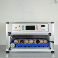 Incubateur d'œufs intelligent nouvelle génération pour oiseaux, poulets, émeus, oies et autruches |   Machine d'incubation entièrement automatique, taux d'éclosion de 98%, 220V PVC