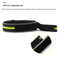 Collier pour chien anti-traction en nylon doux et confortable, style dessin animé, réfléchissant et réglable – Meilleure vente transfrontalière