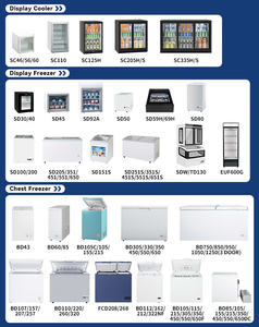 <span class=keywords><strong>Congélateur</strong></span> <span class=keywords><strong>vertical</strong></span> domestique à économie d'énergie, <span class=keywords><strong>congélateur</strong></span> coffre <span class=keywords><strong>compact</strong></span> pour la conservation des aliments surgelés - Product Image 5
