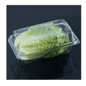 living lettuce clamshell packaging PET plastic boxes herb lettuce packaging for vegetable and fruit