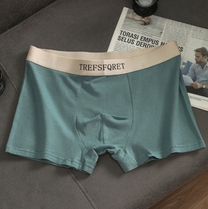 Custom Logo <strong>Men's</strong> Knitted Cotton Boxer <strong>Briefs</strong> Underwear Shorts Breathable Anti-Bacterial - Product Image 3