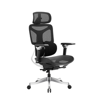 Chaise de bureau ergonomique moderne en maille nylon avec appui-tête 4D, accoudoirs 6D, soutien lombaire dynamique divisé et mécanisme d'inclinaison multifonctionnel