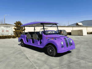 Voiture électrique vintage de style rétro classique en acier, 8/11 places, idéale pour les excursions de loisirs, les visites touristiques et les circuits urbains. - Product Image 2