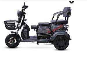 सबसे लोकप्रिय Mxus 36/48V 250w GDF04/GDR05 एकल शाफ्ट हब मोटर - Product Image 6