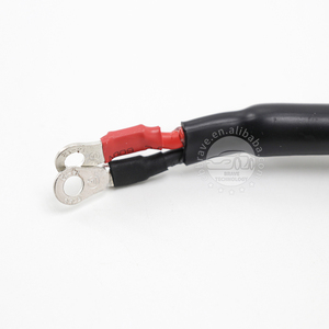 Изготовленный на заказ электромобиль высокого напряжения 2-контактный кабель для хранения мощности 180a Жгут проводов 2 концевых кольцевых клемм - Product Image 2