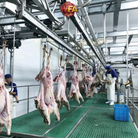 Chaîne de traitement clé en main en acier inoxydable pour abattoir halal de moutons, équipement de convoyage pour carcasses de mouton