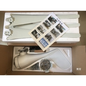 Générateur éolien 1000W pour usage domestique, petit système hybride éolien-solaire 220V 24V, éclairage public marin - Product Image 2