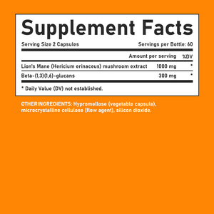 Capsules de Crinière de Lion OEM pour l'extrait de champignon Crinière de Lion, favorisent la fonction cognitive, capsules de champignons nootropiques - Product Image 2
