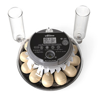 WONEGG Incubateur d'œufs de volaille à taux d'éclosion élevé, incubateur automatique pour œufs de volaille avec testeur LED