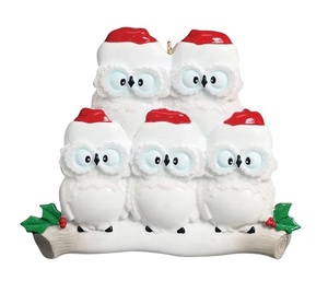 Déco de noël <span class=keywords><strong>personnalisé</strong></span> hibou <span class=keywords><strong>famille</strong></span> ornements de noël <span class=keywords><strong>personnalisé</strong></span> résine décor de maison suspendu ornement d'arbre de noël - Product Image 4