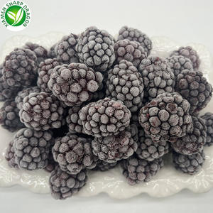 IQF Freeze <span class=keywords><strong>Organic</strong></span> Fresh Blackberries Sweet <span class=keywords><strong>Frozen</strong></span> Fruit em Embalagem a Granel - Product Image 5