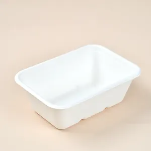 DBH1000 Eco-friendly Disposable Biodegradable eco friendly tableware Bento Delivery Fast Food Packaging Box For Outdoor Picnic