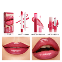 Kit de Rouge à Lèvres 3-en-1 Sculptant, Crayon et Gloss Peptidique pour une Gamme Complète de Produits OEM