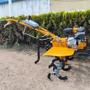 Piccolo Motocoltivatore in Vendita, Trattore a Due Ruote, Prezzo Motocoltivatore in Offerta - Product Image 4