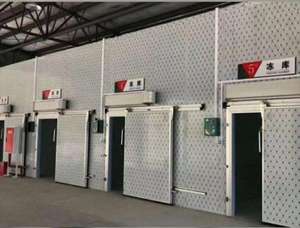 Chambre froide de grande capacité de qualité supérieure <span class=keywords><strong>et</strong></span> à bon prix, chambre froide positive <span class=keywords><strong>et</strong></span> négative à vendre - Product Image 4