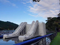 Glissière d'eau gonflable commerciale pour piscine, pour enfant, grand saut de maison bon marché, château gonflable, grand gonflable pour adulte