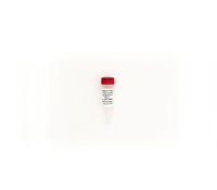 Distribution des communautés microbiennes standard II pour la validation des flux de travail du microbiome, le contrôle qualité de la séquencée 16S et du NGS