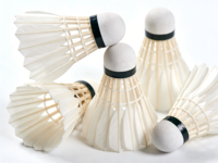 Volants de badminton professionnels de niveau tournoi, hybrides tout-terrain en plumes de canard, 2 couches de liège, fabricant d'usine OEM