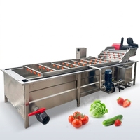 Huchuan Hoge Kwaliteit Ecologische Fruit & Groente Belletjesreinigingsmachine Sla Pompoen Verwerkingslijn 500kg/u Capaciteit