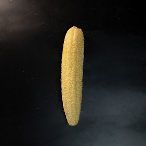 Éponge naturelle en loofah, compatible lave-vaisselle, antiadhésive, brosse de nettoyage multifonctionnelle pour la cuisine, 20-29 cm - Product Image 4