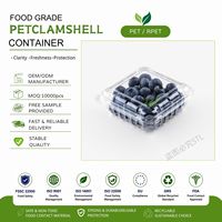 Kotak Kemasan Buah Segar PET Blueberry Clamshell dengan Lubang Ventilasi Grosir