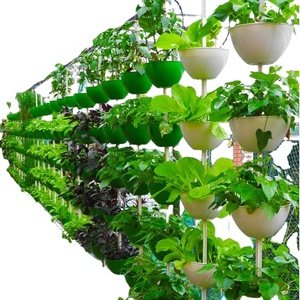 Plant Growing Custom Sized Agricultural Equipment Construction Hydroponics System Complete Hydroponics System - Product Image 3