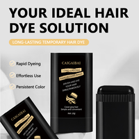 Correcteur de Couleur Capillaire Imperméable Naturel Ponctuel: Bâtonnet-Stylo de Couleur Temporaire Lavable pour Cheveux Gris