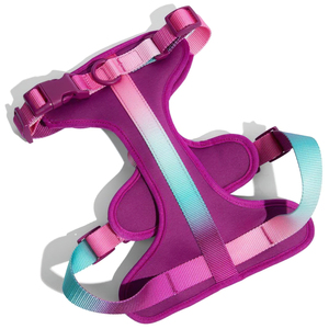 小型中型大型犬用,デザイナーペット犬用ハーネス通気性ポリエステル耐久性のあるファッション犬用ベスト - Product Image 4